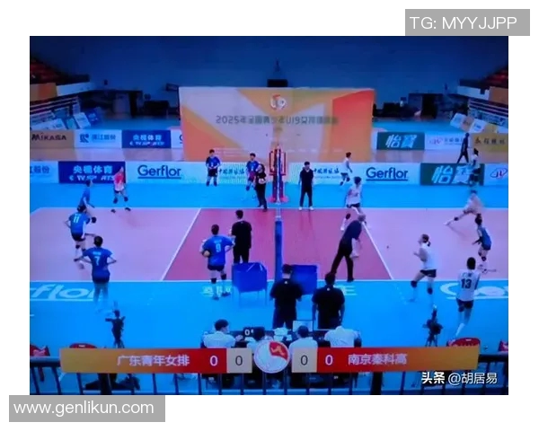 南京排球队战术分析与表现评估大满贯点评