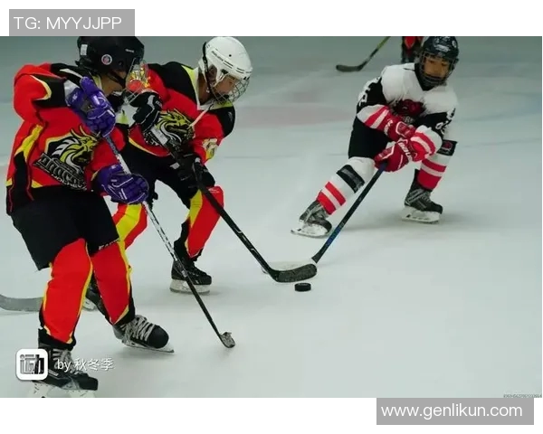 深入探讨北京羽毛球队技术特点与其他球队的差异分析