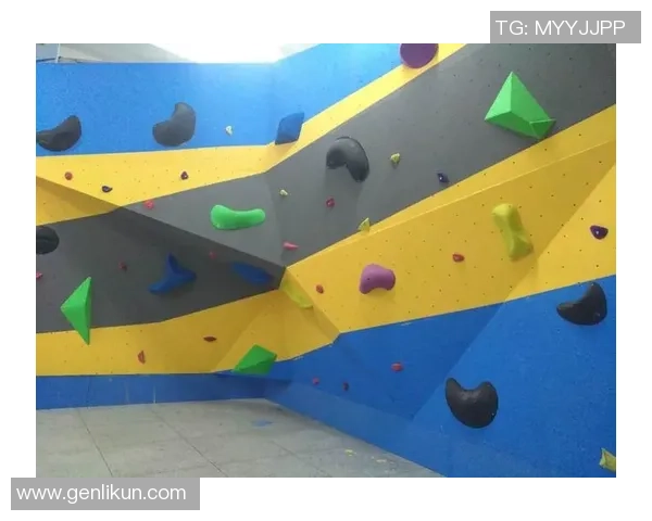 攀岩女将陈娜的挑战与成长之路探秘